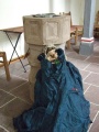 2011- 149.jpg